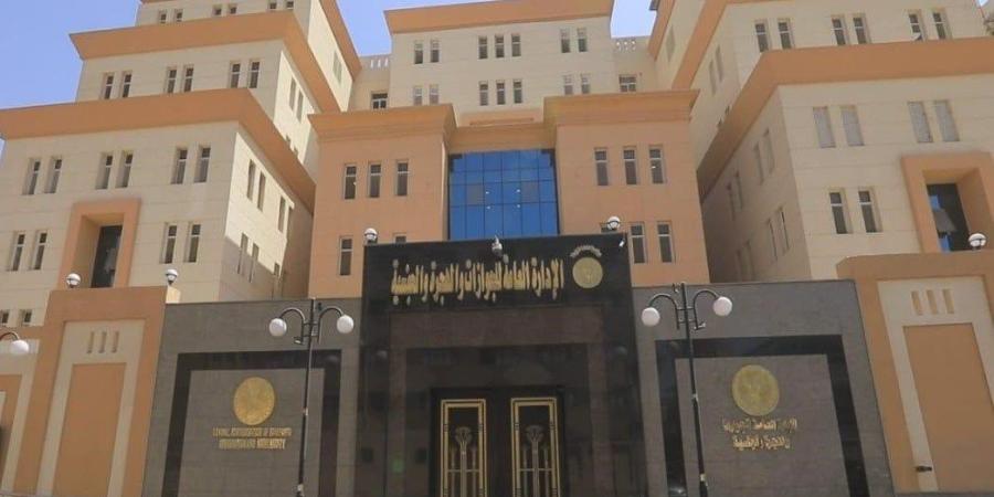 لـ ذوي الهمم وكبار السن.. «الجوازات» تواصل إجراءات تسهيل الحصول على خدماتها - بلس 48