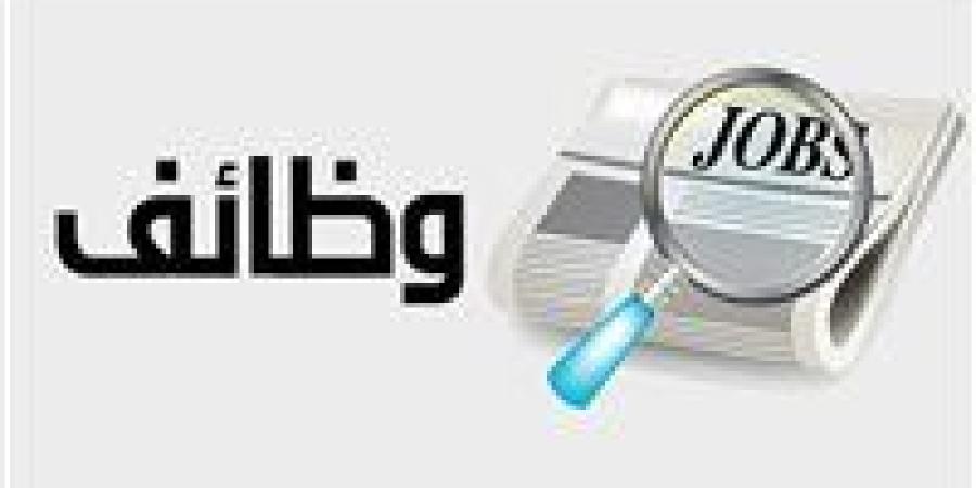 برواتب تصل إلى 52 ألف جنيه شهريًا.. تفاصيل فرص عمل جديدة للمصريين في البوسنة والهرسك - بلس 48