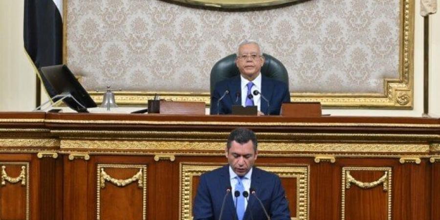لمدة 30 عاما.. «النواب» يوافق على قانون استغلال منجم السكري - بلس 48