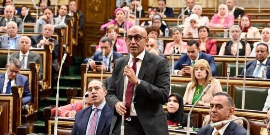 وزير التعليم يستعرض أمام النواب مشروع شهادة البكالوريا المصرية - بلس 48