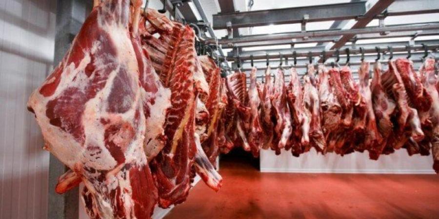 «الضاني بـ 400».. أسعار اللحوم اليوم الجمعة 11 يوليو 2025 في الأسواق والمنافذ - بلس 48