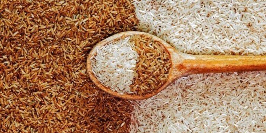 الطن بكام؟.. أسعار الأرز الشعير اليوم الإثنين 14 يوليو 2025 - بلس 48