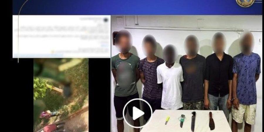 الداخلية تكشف تفاصيل مشاجرة الجيزة بسبب جمع الخردة - بلس 48