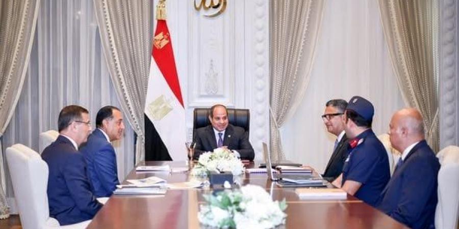 الرئيس السيسي يؤكد أهمية التنسيق بين أجهزة الدولة بشأن الأمن الغذائي - بلس 48
