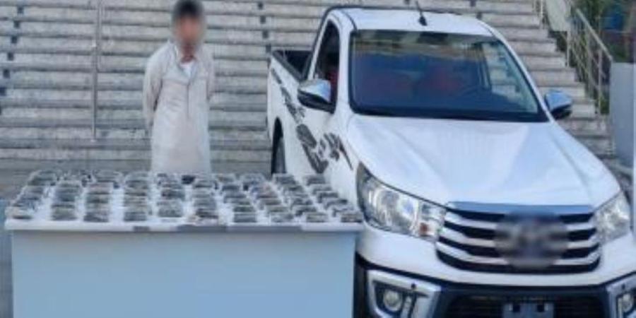 ضبط عناصر بؤر إجرامية شديدة الخطورة من متجرى المخدرات بنطاق عدة محافظات - بلس 48
