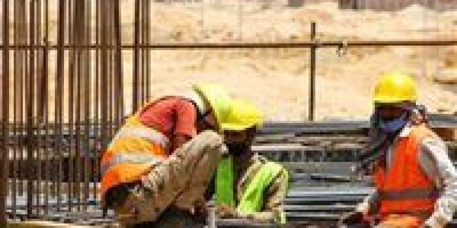 وزير العمل: العامل المصري سفير لبلده في الخارج ورافع راسها - بلس 48