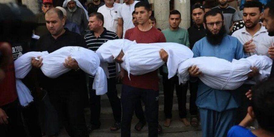 الأونروا: إسرائيل تقتل يوميا صفا دراسيا كاملا من الأطفال في غزة - بلس 48