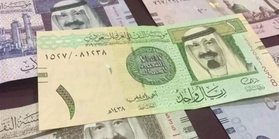تعرف على سعر صرف الريال السعودى فى البنوك المصرية منتصف تعاملات اليوم - بلس 48