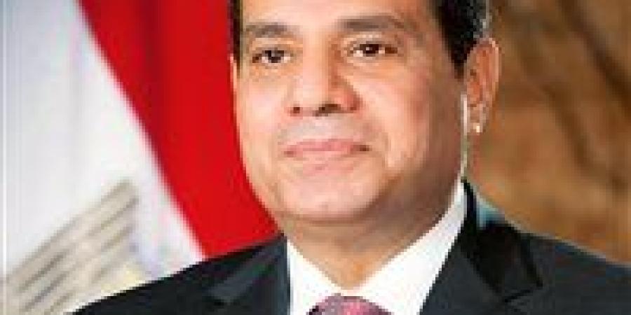 السيسي يتابع جهود تأمين الغذاء: احتياطي آمن من السلع وتوسع في الزراعة وتطوير السلاسل التجارية - بلس 48