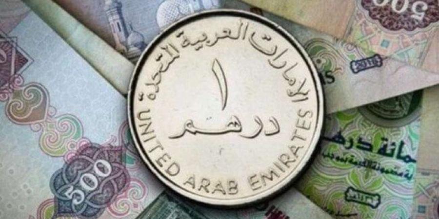 سعر الدرهم الإماراتي في مصر اليوم.. الثلاثاء 15 يوليو 2025 - بلس 48
