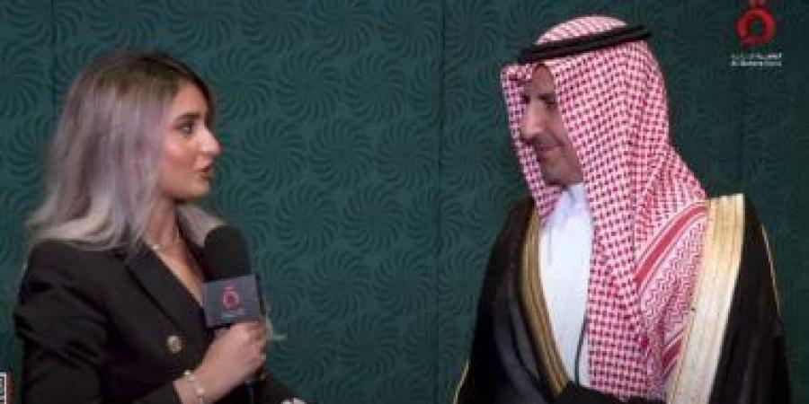 السعودية تشيد بالجهود المصرية في مجال ربط الصناعة بالتعدين - بلس 48