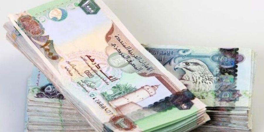سعر الدرهم الإماراتي مقابل الجنيه المصري اليوم الأربعاء 16 يوليو 2025 - بلس 48
