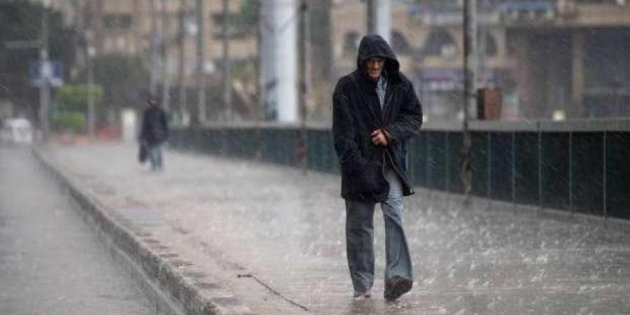 أمطار على هذه المناطق | بيان عاجل من الأرصاد بشأن حالة الطقس اليوم الأربعاء 16 يوليو 2025 - بلس 48