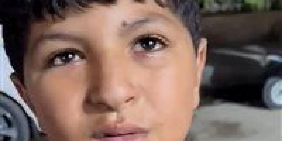 جدل على مواقع التواصل الاجتماعي بسبب تعدي شاب على طفل العسلية - بلس 48