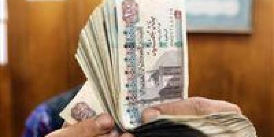 زيادة تبدأ من 1100 جنيه..الحكومة تعلن عن موعد صرف المعاشات والمرتبات - بلس 48