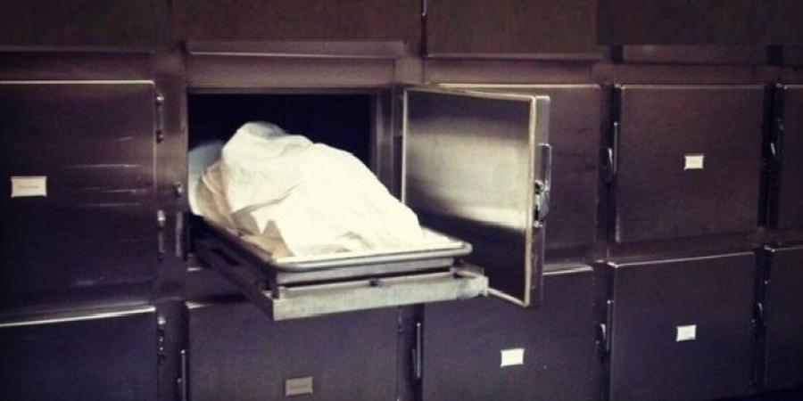 جهود أمنية بالقليوبية لكشف غموض العثور على جثة سيدة مجهولة - بلس 48