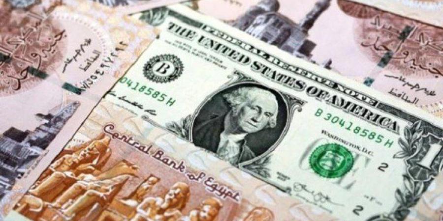 التحركات الآن.. سعر الدولار في مصر اليوم الجمعة 18 يوليو 2025 - بلس 48