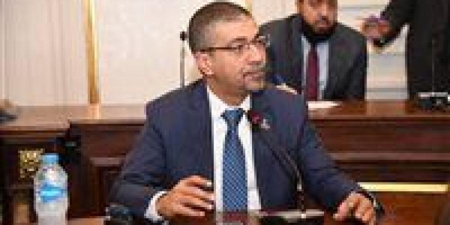 محمد البدري: لقاء وزيري خارجية مصر والسعودية صفعة على وجوه المتربصين ومحاولة زعزعة الصف العربي - بلس 48