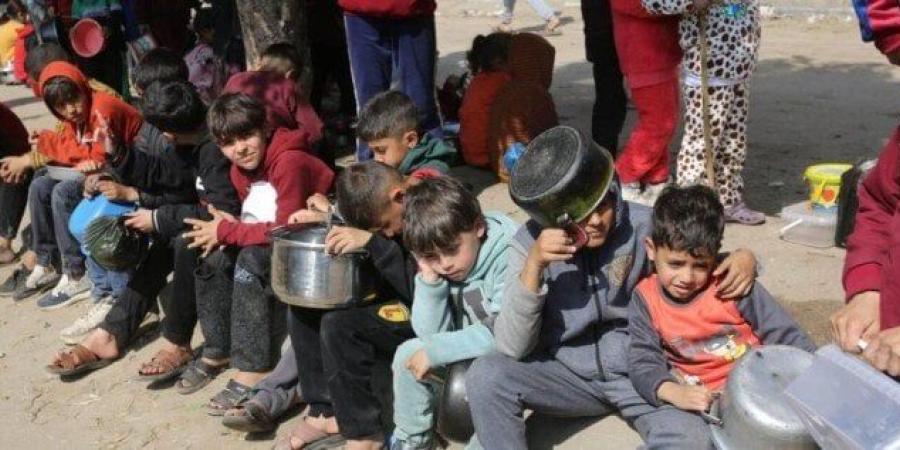 «الجوع والموت».. متحدث الدفاع المدني في غزة: لم أتناول أي طعام منذ الأمس - بلس 48