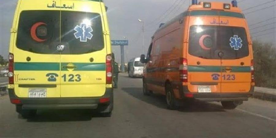 إصابة 5 أشخاص في تصادم ميكروباص وتاكسي بطريق الفيوم الدائري - بلس 48