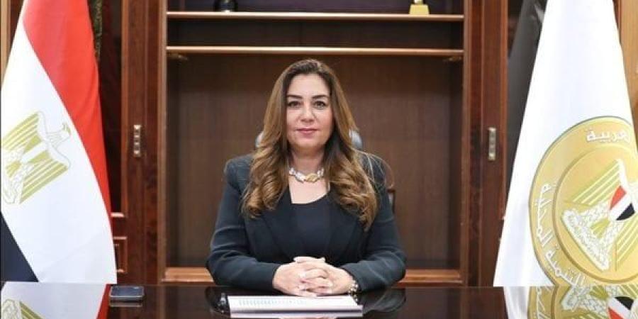 وزيرة التنمية المحلية تبحث سبل التعاون في التحول الرقمي للمدن المصرية - بلس 48
