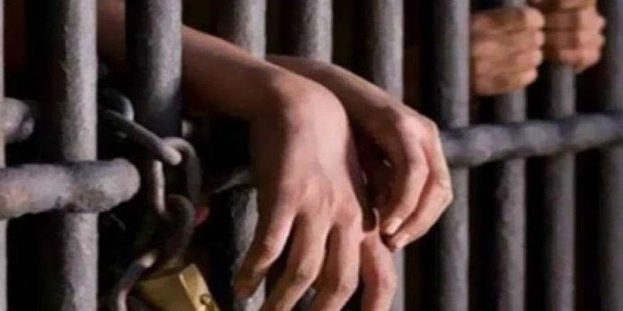 بحوزتهما 12 طربة حشيش.. حبس عاطل ونجله لاتجارهما في المخدرات بالبحيرة - بلس 48
