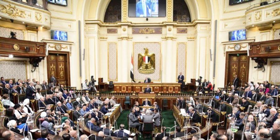 فئات محرومة من المشاركة السياسية في انتخابات مجلش الشيوخ.. تفاصيل - بلس 48