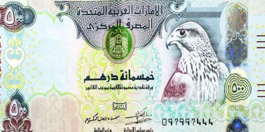 الدرهم الاماراتى يسجل 13.43 جنيه فى البنك المركزى المصرى - بلس 48