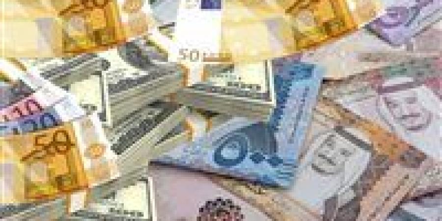 أسعار العملات العربية والأجنبية اليوم الأحد 20 يوليو - بلس 48