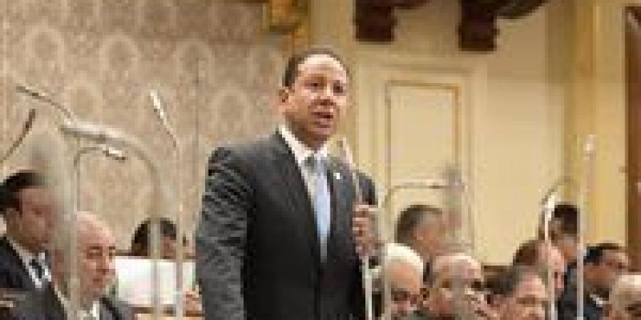 النائب حسن عمار: بيان وزارة الداخلية يكشف الجهود الاستباقية والاحترافية للدولة المصرية لحماية الأمن القومي - بلس 48