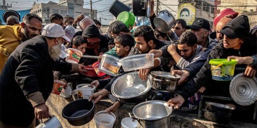 بينهم 76 طفلا.. استشهاد 86 شخصا بسبب الجوع وسوء التغذية في غزة - بلس 48