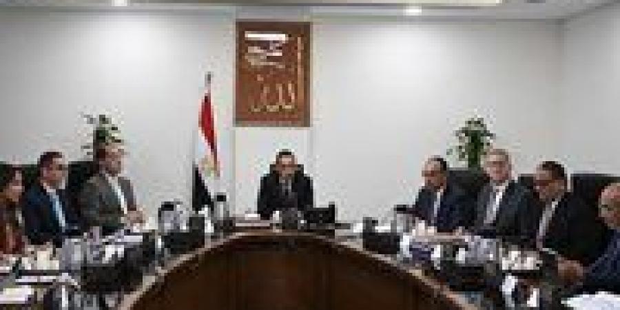 رئيس الوزراء يُتابع موقف تنفيذ برنامج الطروحات الحكومية - بلس 48