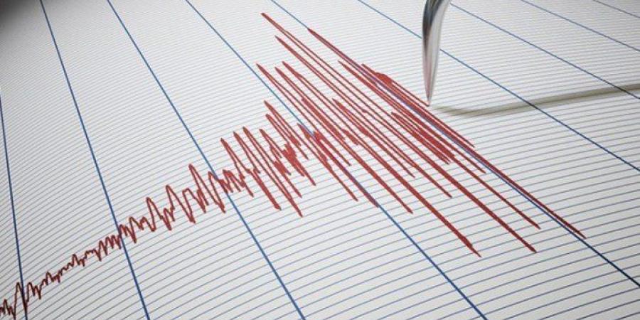 بقوة 5.8 درجة.. زلزال عنيف يضرب بابوا غينيا الجديدة - بلس 48