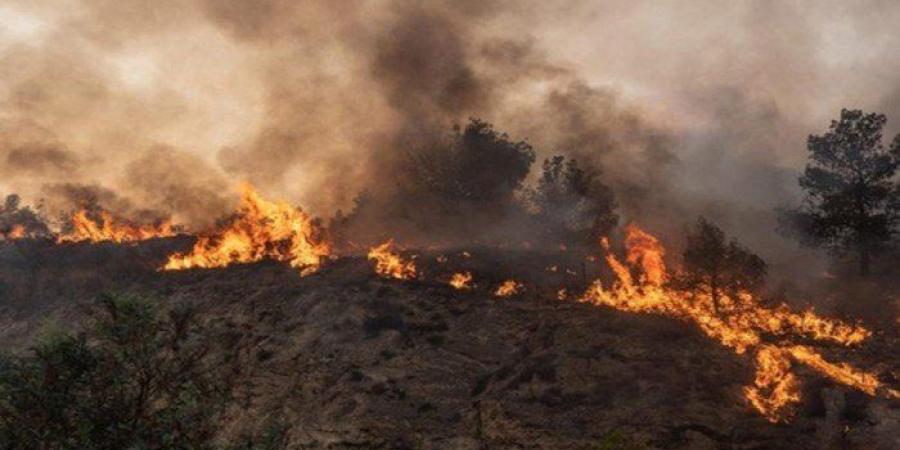 إندونيسيا تبدأ عملية تلقيح السحب لمكافحة حرائق الغابات والضباب الدخاني العابر للحدود - بلس 48