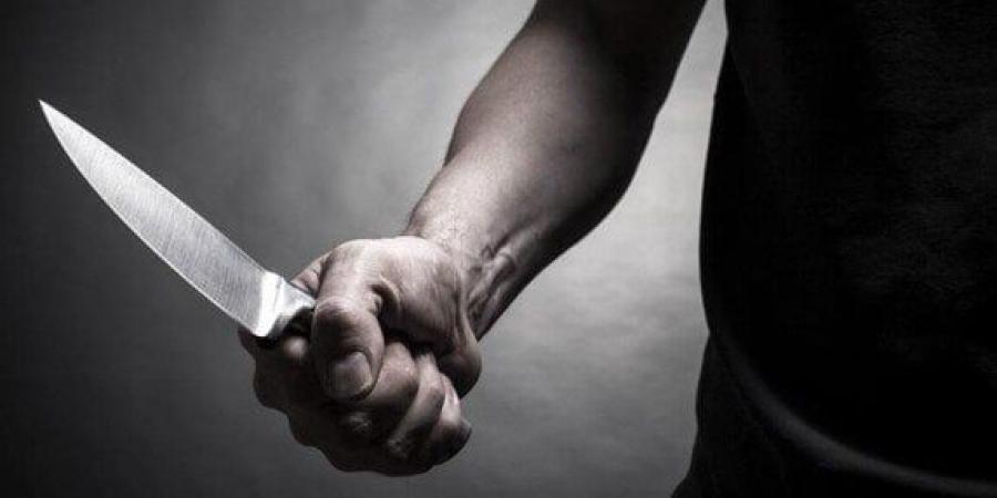 بسبب خلاف على الميراث.. مبيض محارة يقتل شقيقه وزوجة شقيقه في الفيوم - بلس 48