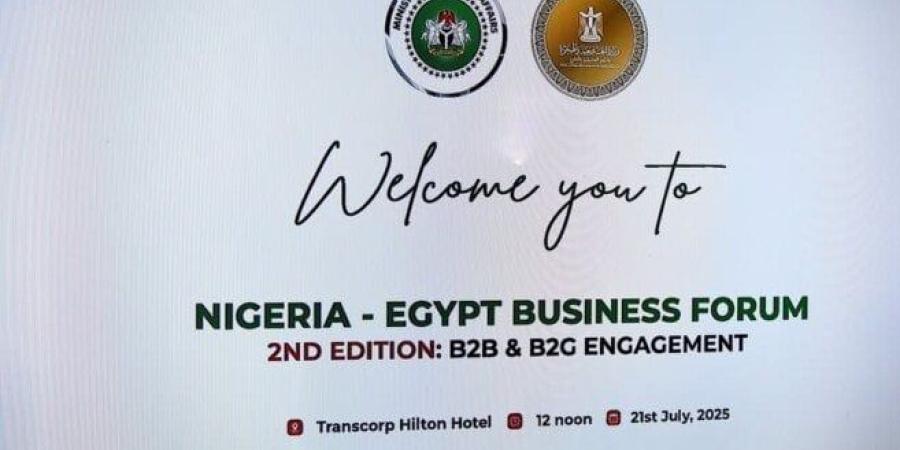 وزير الخارجية: منتدى الأعمال «المصري - النيجيري» منصة فاعلة لـ إقامة شراكات استراتيجية - بلس 48