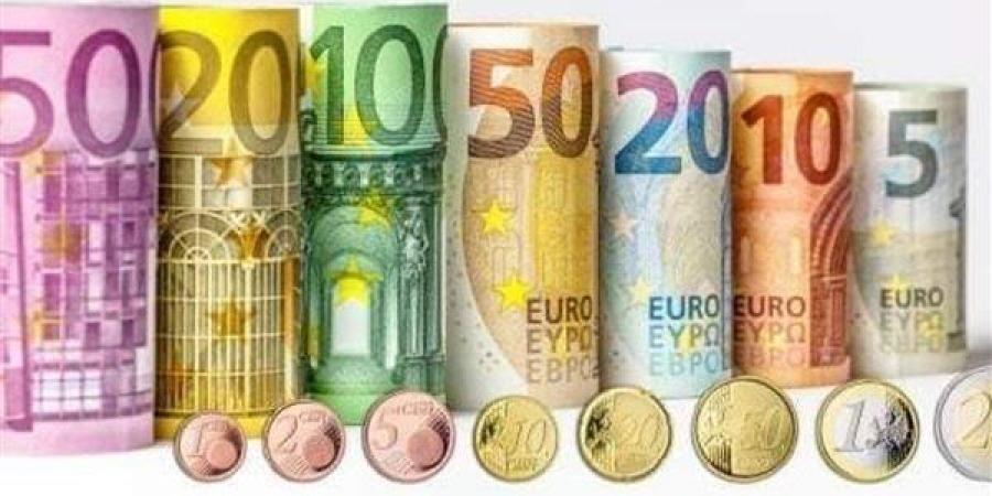 تراجع سعر صرف اليورو فى البنوك المصرية منتصف تعاملات اليوم - بلس 48