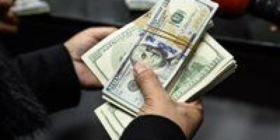 ضبط قضايا إتجار في العملات الأجنبية بقيمة تجاوزت 9 ملايين جنيه خلال 24 ساعة - بلس 48