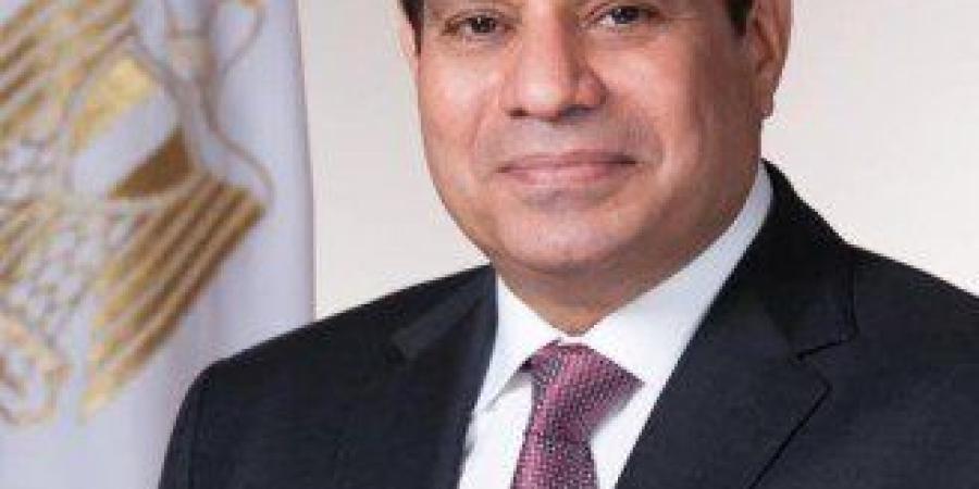 مصر.. الرئيس السيسي يجتمع مع رئيس الوزراء ووزير البترول والثروة المعدنية - بلس 48