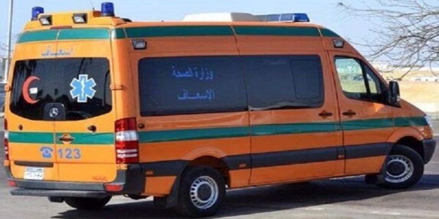 «إحداهما احترقت».. مصرع 4 أشخاص وإصابة 5 في حادث تصادم سيارتين ملاكي بالمنيا - بلس 48