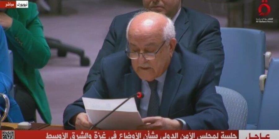 مندوب فلسطين بالأمم المتحدة يشيد بجهود مصر للتوصل إلى وقف إطلاق النار في غزة - بلس 48