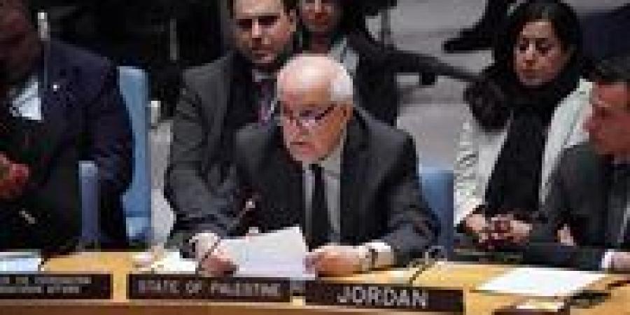 مندوب فلسطين بـ«الأمم المتحدة»: غزة مدمّرة بالكامل وإسرائيل تستهدف الجوعى عمدًا - بلس 48
