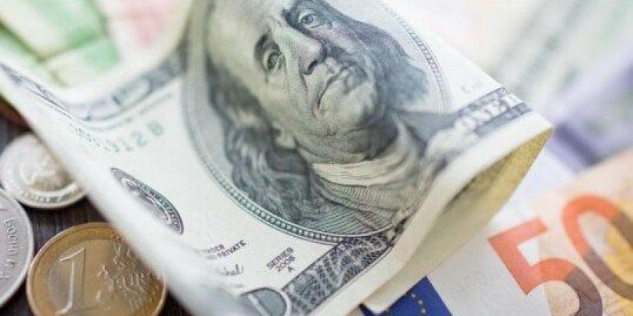 42.3 مليار دولار إجمالي تحويلات المصريين العاملين بالخارج منذ تحرير سعر الصرف - بلس 48