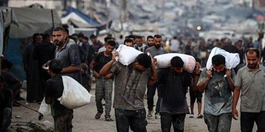 "رويترز" تكشف تفاصيل الرد الرسمي لحركة "حماس"على مقترح وقف إطلاق النار في غزة - بلس 48
