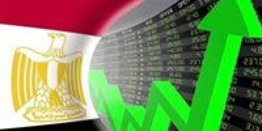 خبير اقتصادي يكشف سبب  صمود الاقتصاد المصري والاستمرار في جذب الاستثمارات الأجنبية والمحلية - بلس 48