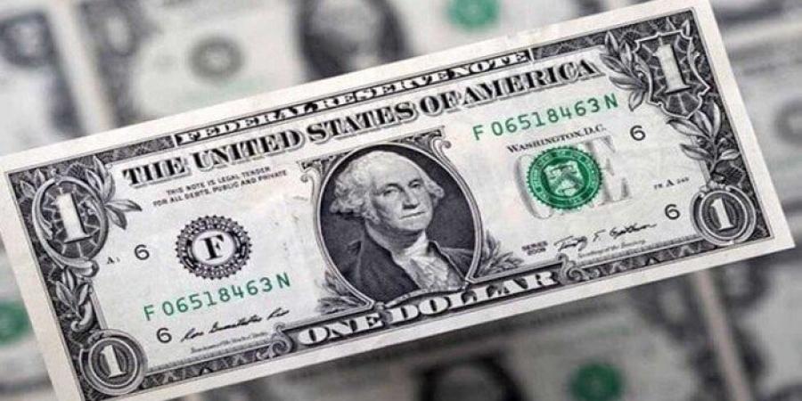 بكام النهاردة؟.. سعر الدولار في مصر اليوم الخميس 24-7-2025 - بلس 48