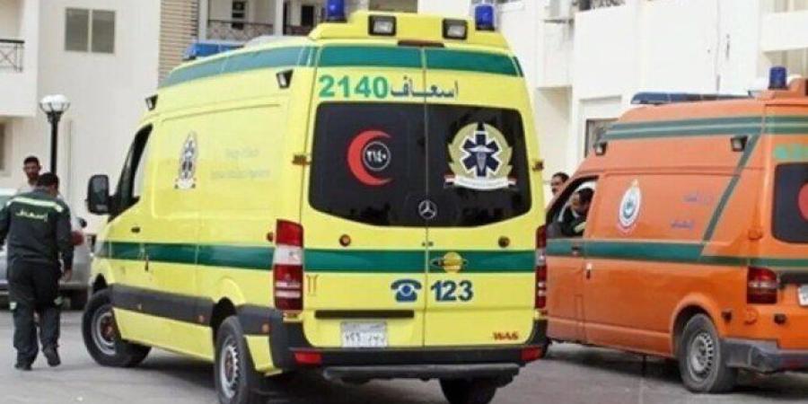مصر.. وفاة والد الأطفال الستة ضحايا "المرض الغامض" يزيد الحيرة حول أسباب وفاتهم - بلس 48