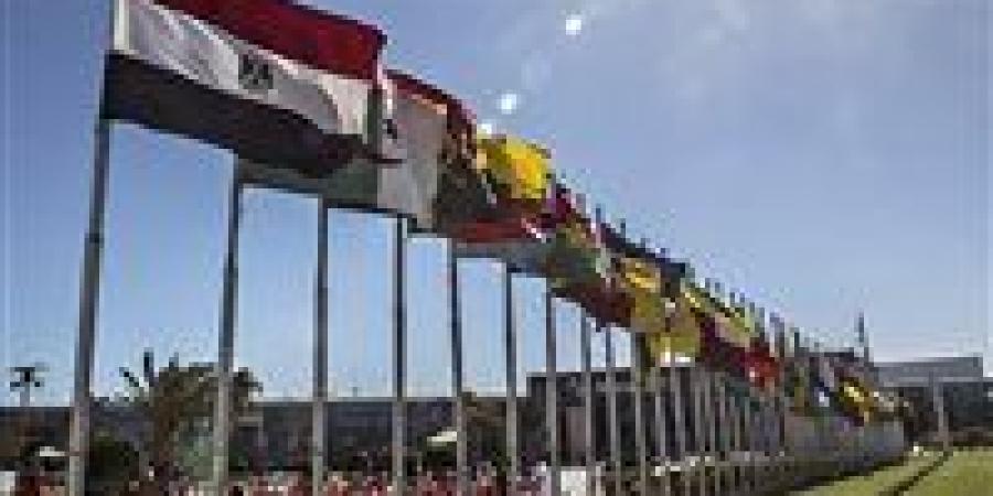 مصر تنطلق نحو أفريقيا: شراكة اقتصادية استراتيجية ترجح كفة الصناعات الوطنية والتصدير - بلس 48
