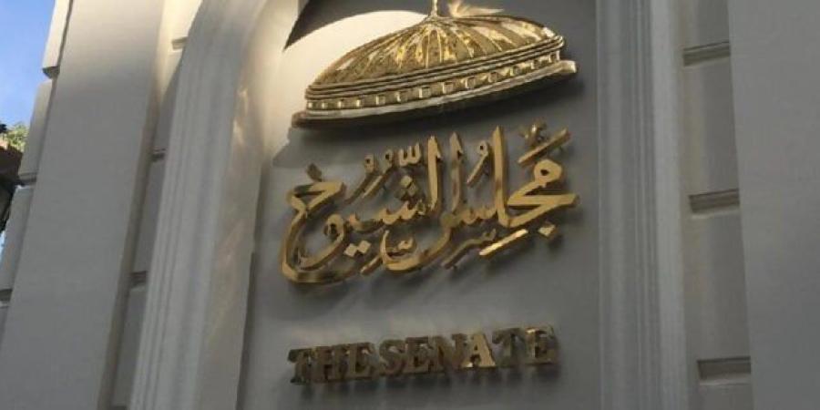 ما هي عقوبة عدم المشاركة في انتخابات مجلس الشيوخ 2025؟.. محامي يوضح - بلس 48