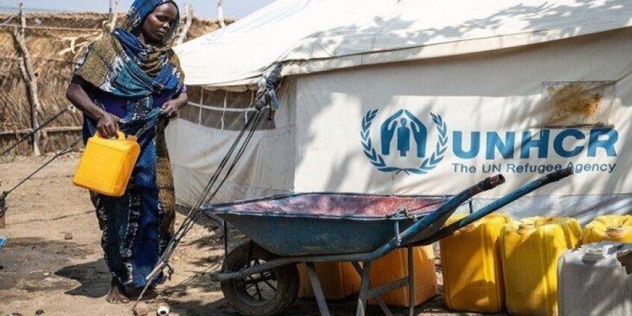 الفاشر السودانية تحت وطأة المجاعة وسط انهيار تام للخدمات وتحذيرات من كارثة إنسانية - بلس 48